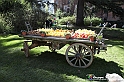 VBS_0811 - Inaugurazione Messer Tulipano 2023